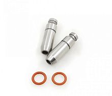 Направляющие клапанов TTR-250