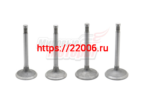 Клапаны Днепр (1 комплект=2 пары)