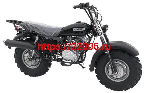 Мотоцикл внедорожный СКАУТ-3VR-250 колеса 10" фото 3