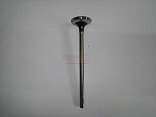 Клапан впускной CS35 (H150061000)