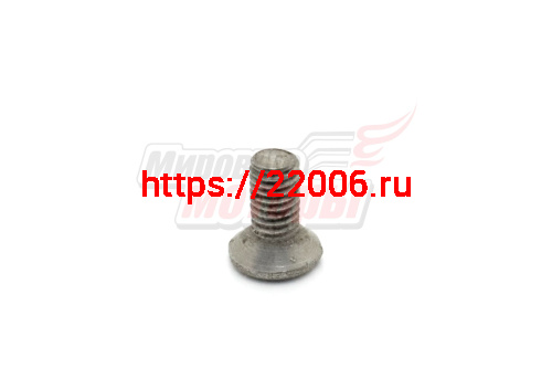Винт М6х14 крышки картера